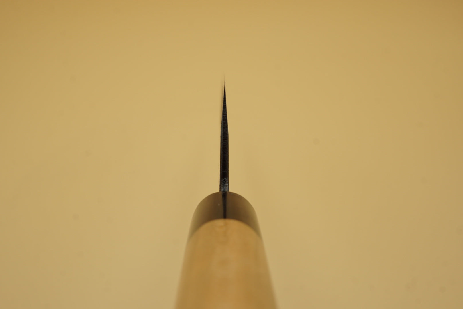 Muneishi Stainless Clad 270mm Gyuto