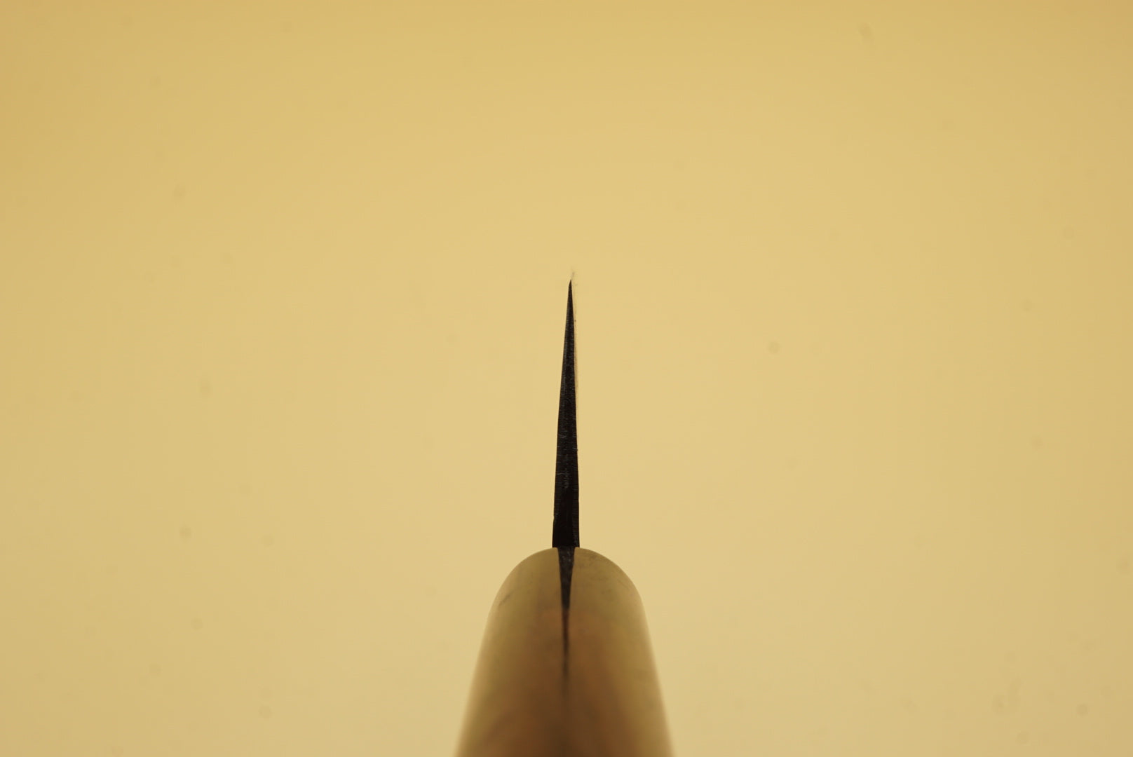 Tsunehisa Shirogami #2 Kurouchi Nakiri