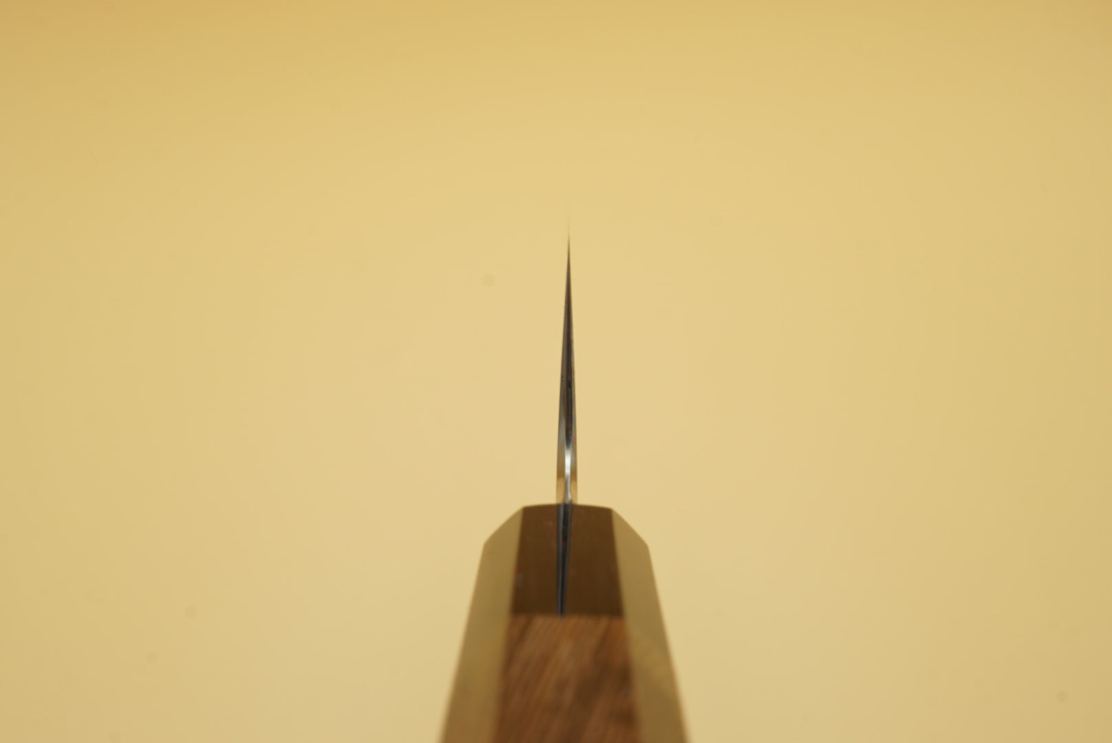 Myojin Riki Seisakusho 210mm SG2 Gyuto - RealSharpKnife.com